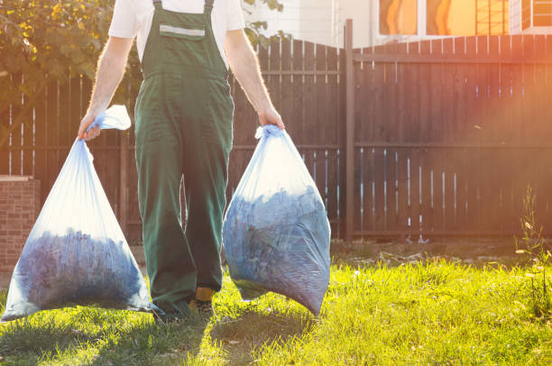 Yard Cleanup Services in Sylvania, AL